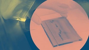 An Introduction to PCR