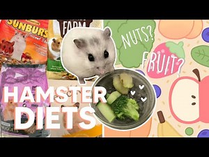 What Should You Feed Your Hamster?