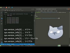 Pythonのバージョンの確認方法を解説します【オプション、sys, platform】