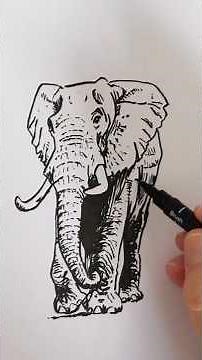 TUTORIEL : dessine un ÉLÉPHANT !