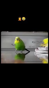 18K views · 352 reactions |  #codingsnow #development #developer #fullstackdeveloper #SQL #python #Linux #php #poland #JavaScript | Coding Snow | Facebook