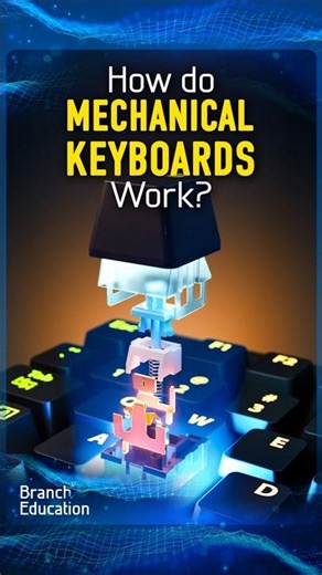 How do Mechanical Keyboards Work? #keyboard #pcbuild
