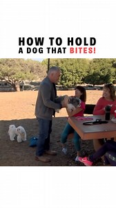 471K views · 5.4K reactions | In this clip from Cesar 911, I meet an anxious German Shepherd that is barking and howling. Anxiousness and fear runs rampant in dogs and is an ongoing problem that needs to be fixed. Rusty's anxiety has been something she has been dealing with since she was 6 weeks old so this problem is a deep rooted issue that needs to be fixed. If I don't help this owner now, his relationship with his brother will be heavily strained. | Cesar Millan | Facebook