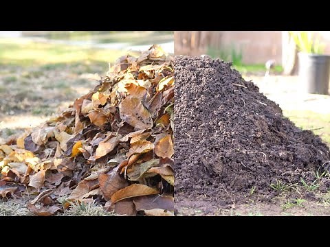Turn Leaves into FREE Organic Compost
