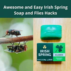 Awesome and Easy Irish Spring Soap and Flies Hacks