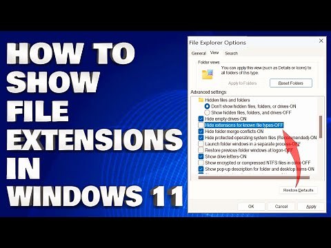 How To Show File Extensions in Windows 11 [Guide]