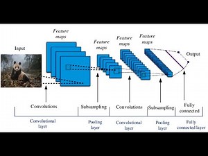 Convolutional Neural Networks شرح بالعربي الشبكات العصبية التلافيفية