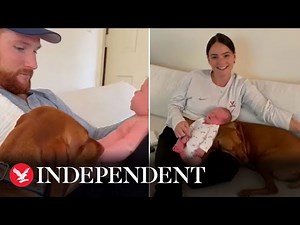 Moment adorable dog meets newborn baby and completely falls in love