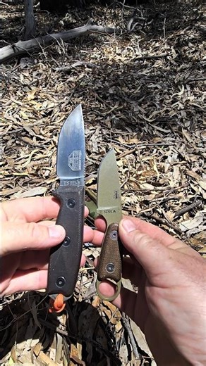 ESEE 3 beside ESEE Izula #edc