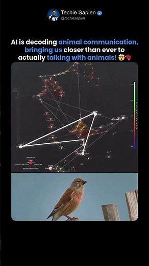 AI Is Unlocking Animal Communication: Can We Finally Talk to Animals? 🤯🐦🧠