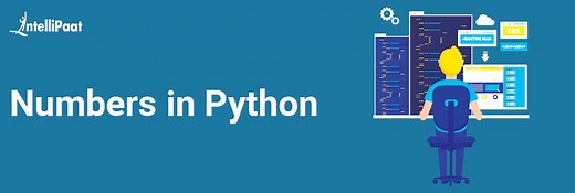 Python Numbers - Learn How to Create Prime Numbers, Perfect Numbers, and Reverse Numbers in Python