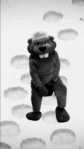 100 Days, 100 Beavers! #hundredsofbeavers