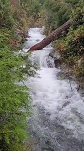 Visit Sunny Sequim on Reels