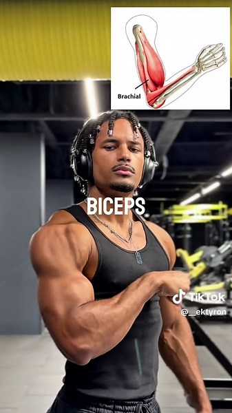 Le secret pour des gros biceps : astuces d'exercice