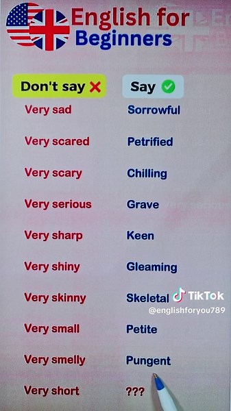 Learn English Quickly with Easy Weekly Lessons