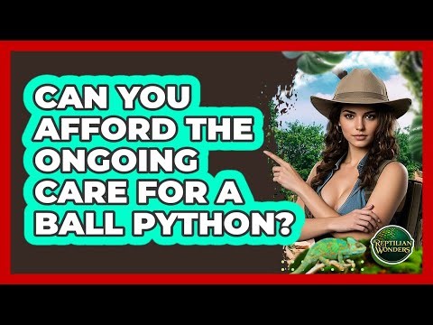 Can You Afford The Ongoing Care For A **ball Python**? - Reptilian Wonders