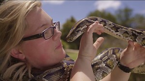 Any wonder where Squeeze, the Burmese Python gets her name from? 🐍 | Symbio Wildlife Park