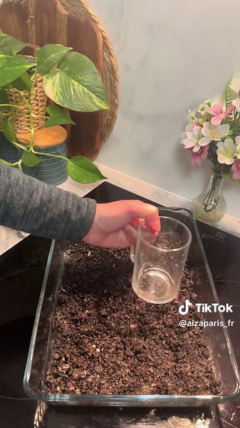 Oreo cake NO-BAKE CAKE RECIPE Ingredients Base: 300 g biscuits 150 g melted butter Cream: 800 ml cold heavy cream (35%) 150 g powdered sugar A small amount of crushed biscuits (to mix into half of the cream) Ganache: 200 g milk chocolate 250 ml heavy cream Instructions 1. Base Crush the biscuits into fine crumbs. Add the melted butter and mix well. Press the mixture firmly into the bottom of a cake mold and refrigerate. 2. Cream Whip the cold heavy cream with powdered sugar until thick and fluff