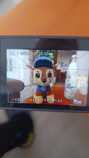 Mastering Canon Mirrorless Photography Techniques