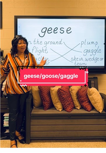 Understanding Geese: Singular vs. Plural Explained