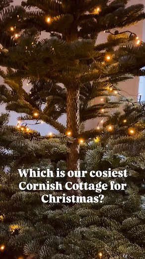 Which is our cosiest Cornish Holiday Cottage at Christmas? We all have our favourites (and some guests have stayed in all 4!) but The Barn with its rustic beams and thick stone walls has real ‘Holiday’ Christmas vibes and guess what……? It’S THE ONLY ONE STILL AVAILABLE for Christmas!!! The Barn luxury self catering holiday cottage in Cornwall has two bedrooms sleeping four, a woodburner, woodfired hot tub, all sorts of little extras and would be PERFECT for a family or two couples to get Away fo