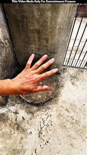 where is my ducklings hiding 😂 #Catsoftiktok #CatLovers #cat #cute #FunnyCats #catcartoon #fyp