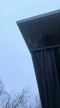 How to Install Security Cameras Like a Pro