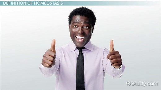 Homeostasis | Definition, Importance & Examples