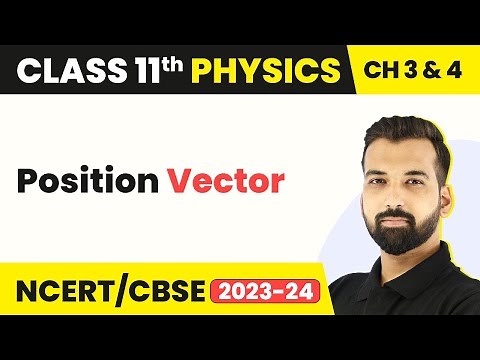 Position Vector - Vectors | Class 11 Physics