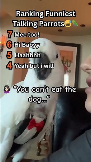 Ranking Funniest Talking Parrots!🦜🤣