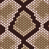 Python From Scratch: Create a Dynamic Website | Envato Tuts+