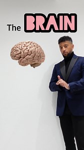 GCSE Biology Paper 2 (triple only) revision. The brain explained #brain #cortex #cerebellum #cerebralcortex #thinking #consciousness #rappingteacher #exams #revision #gcse #stem #school #science #combinedsciencegcse #biology | Matt Green