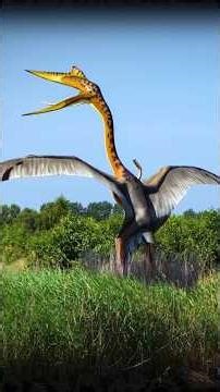 What We Got Wrong About the Biggest Flying Animal #Quetzalcoatl #Dinosaur #Birds #Shorts