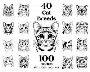 Cat Breeds SVG Bundle: 100 Cat Graphics for Cricut (digital Download) - Etsy
