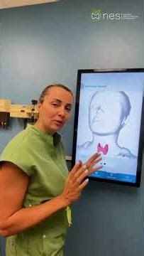 About your Thyroid | Natural Endocrinology Specialists™