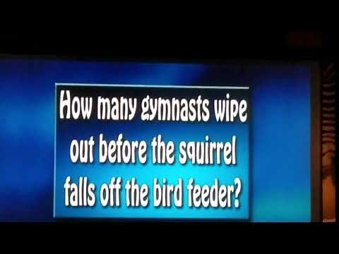 AFV: How many gymnasts wipe out before the squirrel falls off the bird feeder?