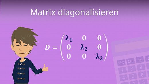 Matrix diagonalisieren