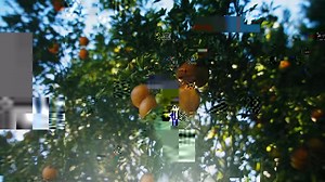 4.3K views · 88 reactions | Meet Fit, Farm Bureau’s 2022 Farm Dog of the Year, in partnership with Purina. Florida Farm Bureau Federation members Cindy and Andrew Deak depend on this Border Collie on their sheep farm. Fit and Cindy share a very special bond. “We’re very kindred spirits. I feel like our souls are almost connected.” | American Farm Bureau Federation | Facebook