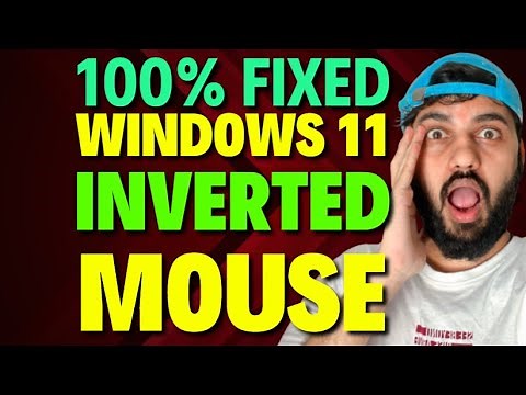 Fix Windows 11 Inverted Mouse