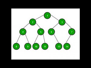 Binary Tree Basics: A Quick Guide | Getting Started with Binary Trees: An Easy Tutorial #binarytree