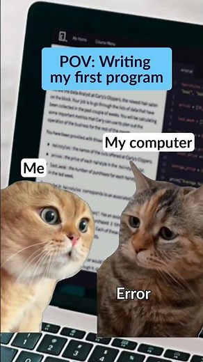 Welcome to the developer life 🥲 #coding #developer