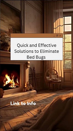 How to Get Rid of Bed Bugs FAST – Proven Methods That Actually Work #bedbuginfestation