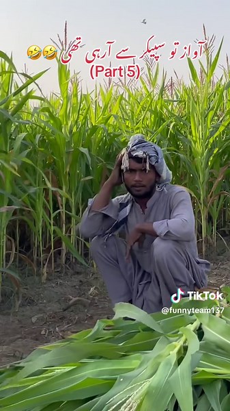 Funny Speaker Prank That Will Make You Laugh