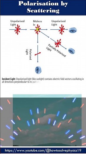 Polarisation by Scattering of Light