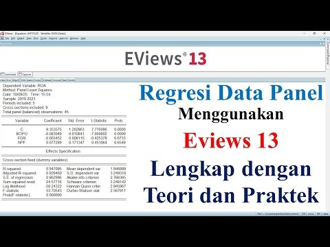 Panel Data Regression Ereviews 13 || Complete with Theory and Practice