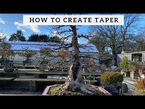 How To Create Taper