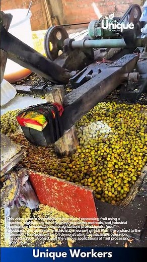 Fruit processing: machine extraction for efficient production