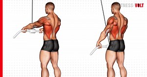 Cable Straight Arm Pulldown: Target Your Back and Arms Effectively – Fitness Volt