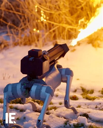 51K views · 679 reactions | This weaponized canine, called the ‘Thermonator’, has been developed by Ohio-based company, Throwflame. Based on the Unitree Go2 robot dog, the Thermonator has been heavily modified. As well as an ARC flamethrower, it has the ability to shoot napalm. | Interesting Engineering | Facebook