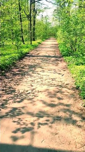 istockphoto 2164410026 640 adpp is 2